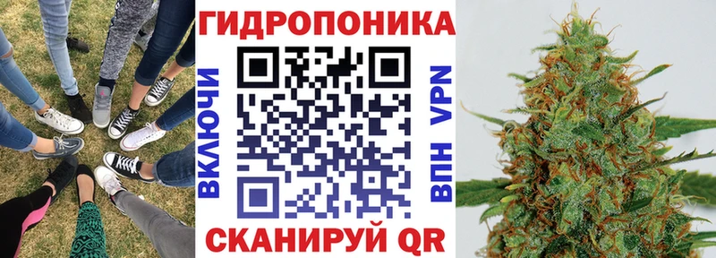 Конопля Энгельс