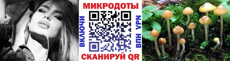Галлюциногенные грибы MAGIC MUSHROOMS  Энгельс 